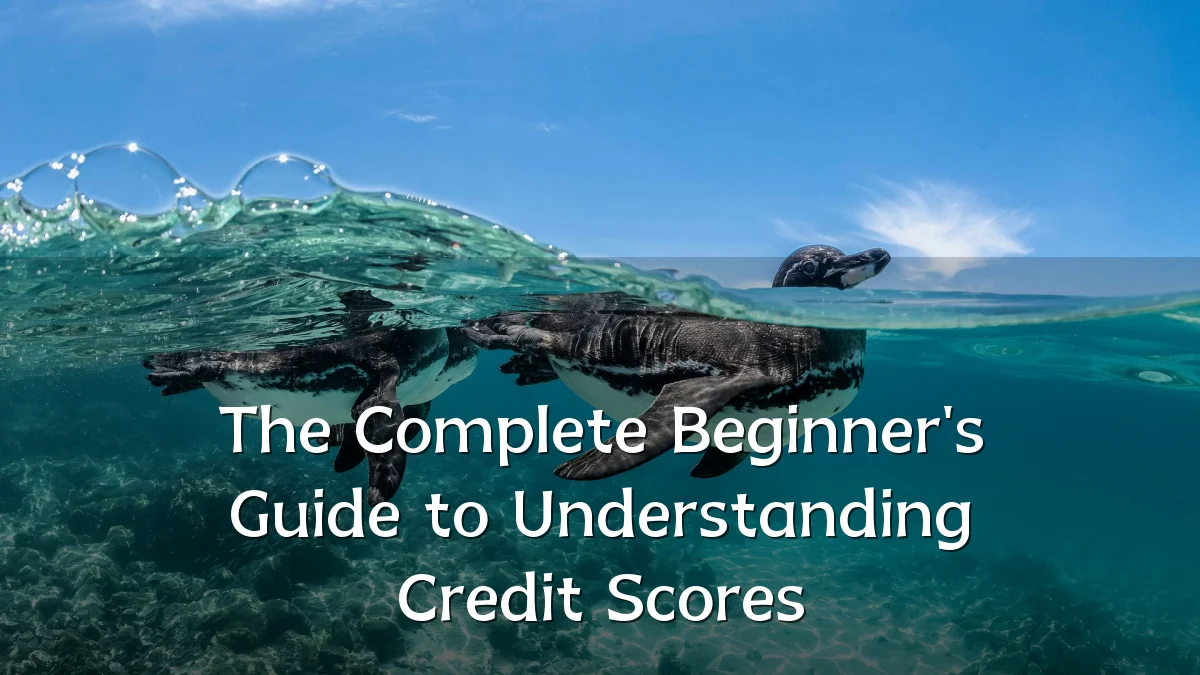 The Complete Beginner's Guide to Understanding Credit Scores