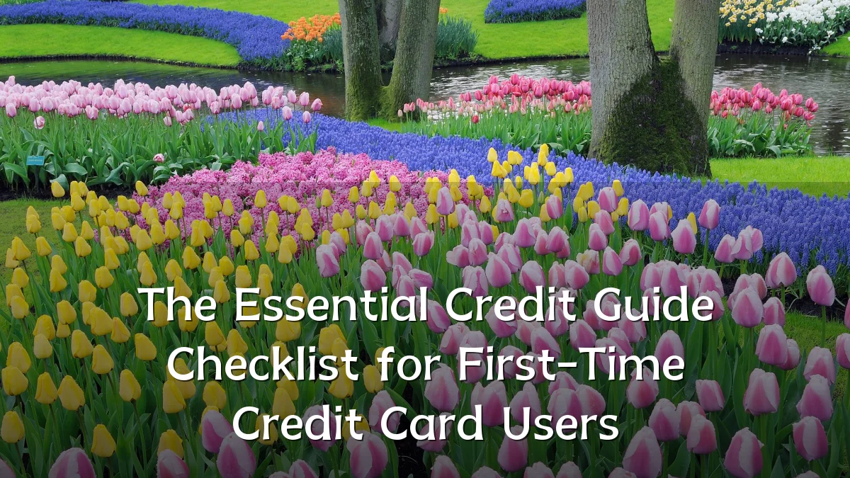 The Essential Credit Guide Checklist for First-Time Credit Card Users