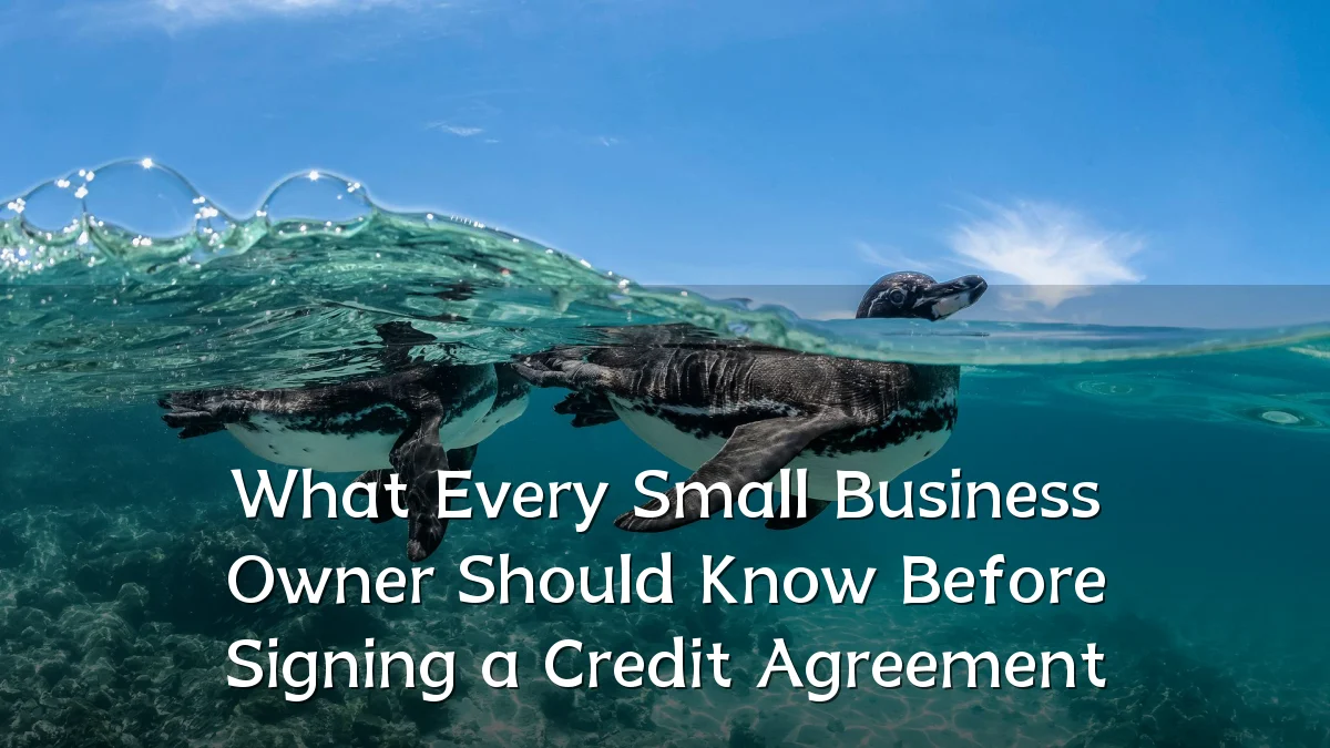 What Every Small Business Owner Should Know Before Signing a Credit Agreement