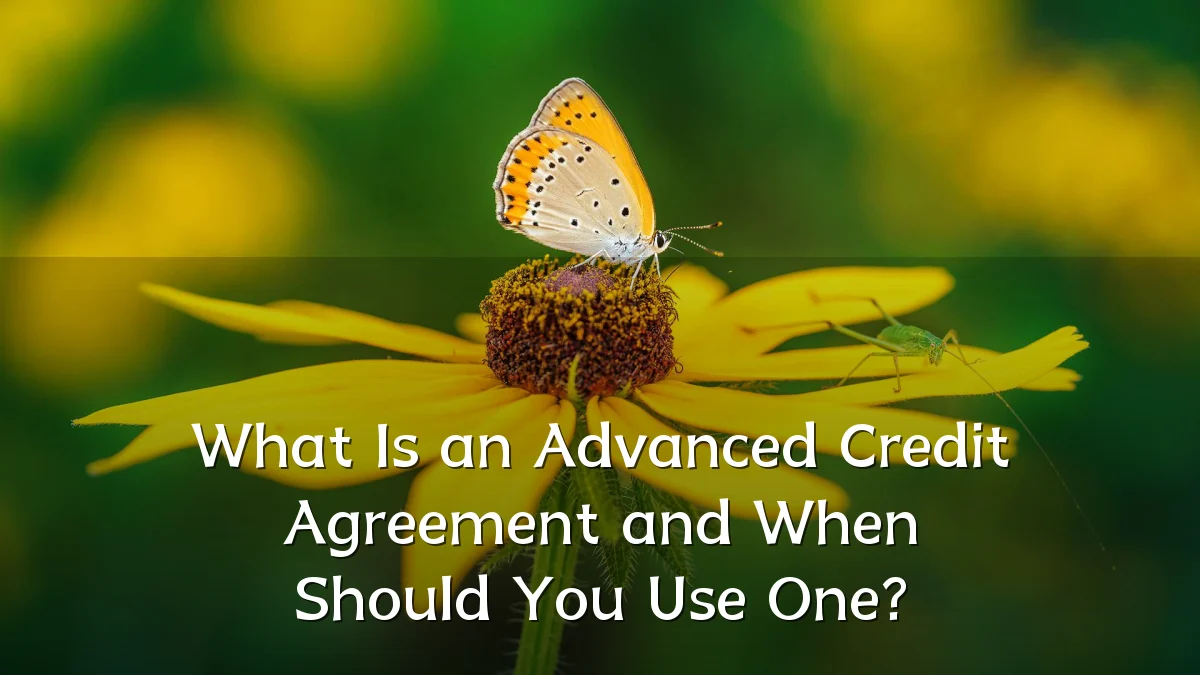 What Is an Advanced Credit Agreement and When Should You Use One?