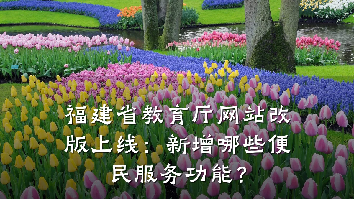 福建省教育厅网站改版上线：新增哪些便民服务功能？