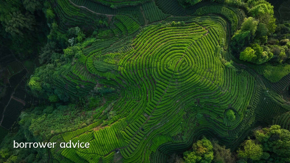 borrower advice