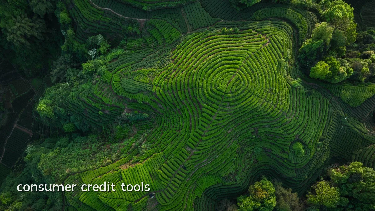 consumer credit tools