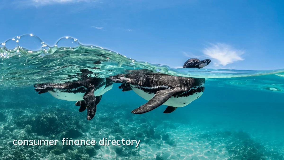consumer finance directory