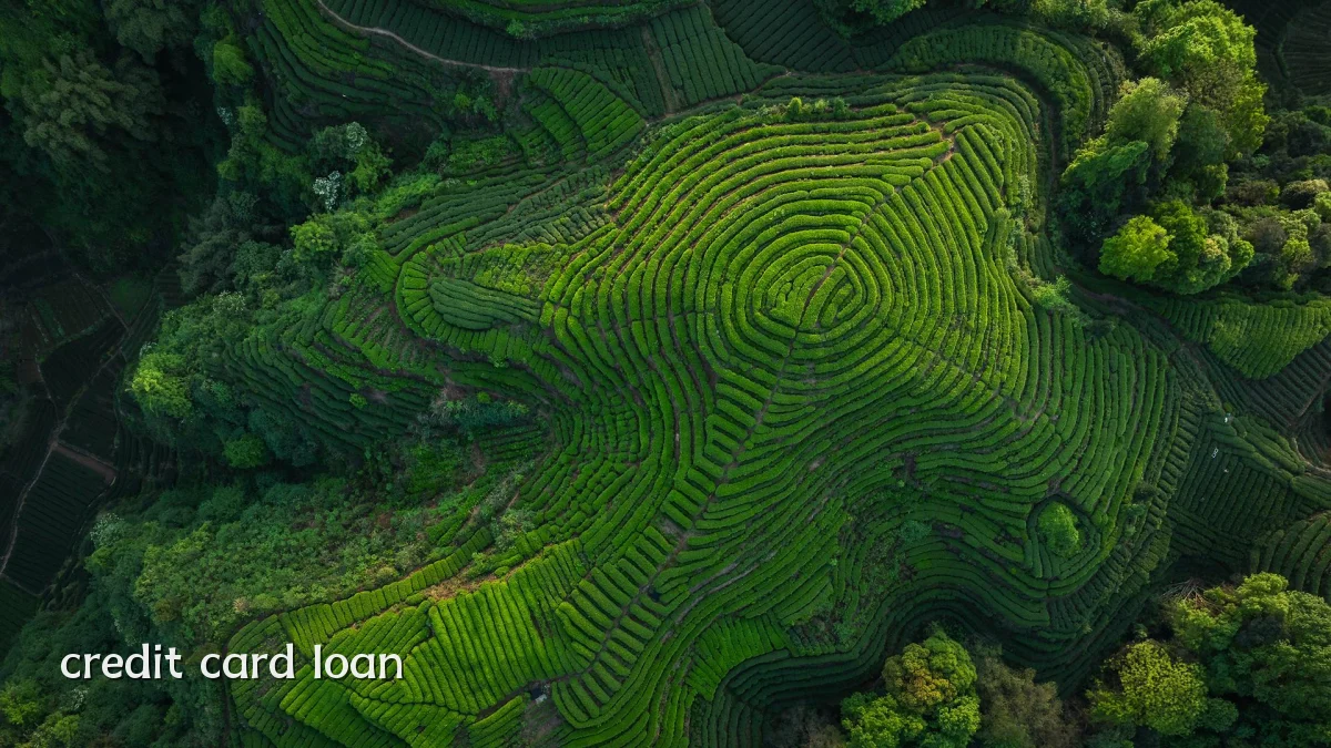 credit card loan