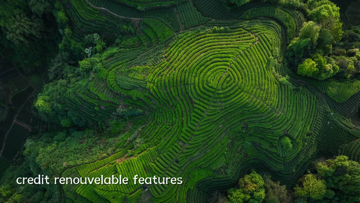 credit renouvelable features