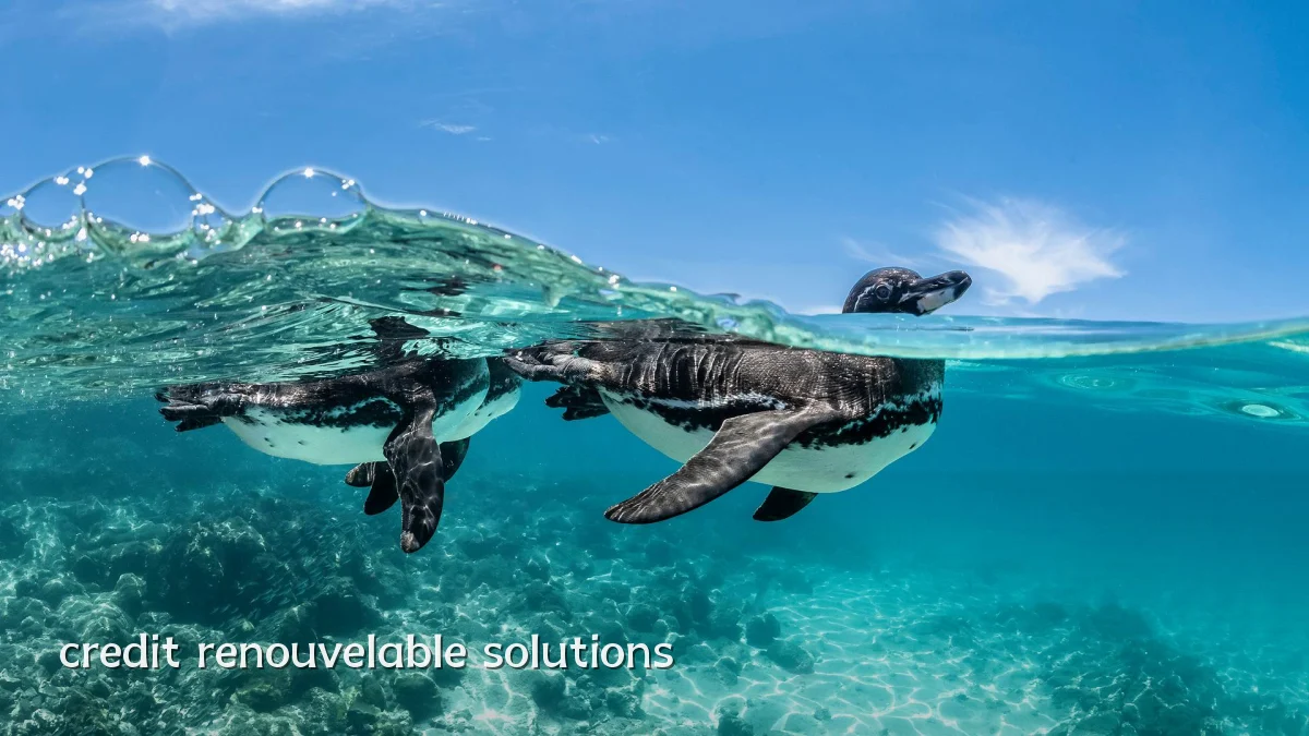 credit renouvelable solutions