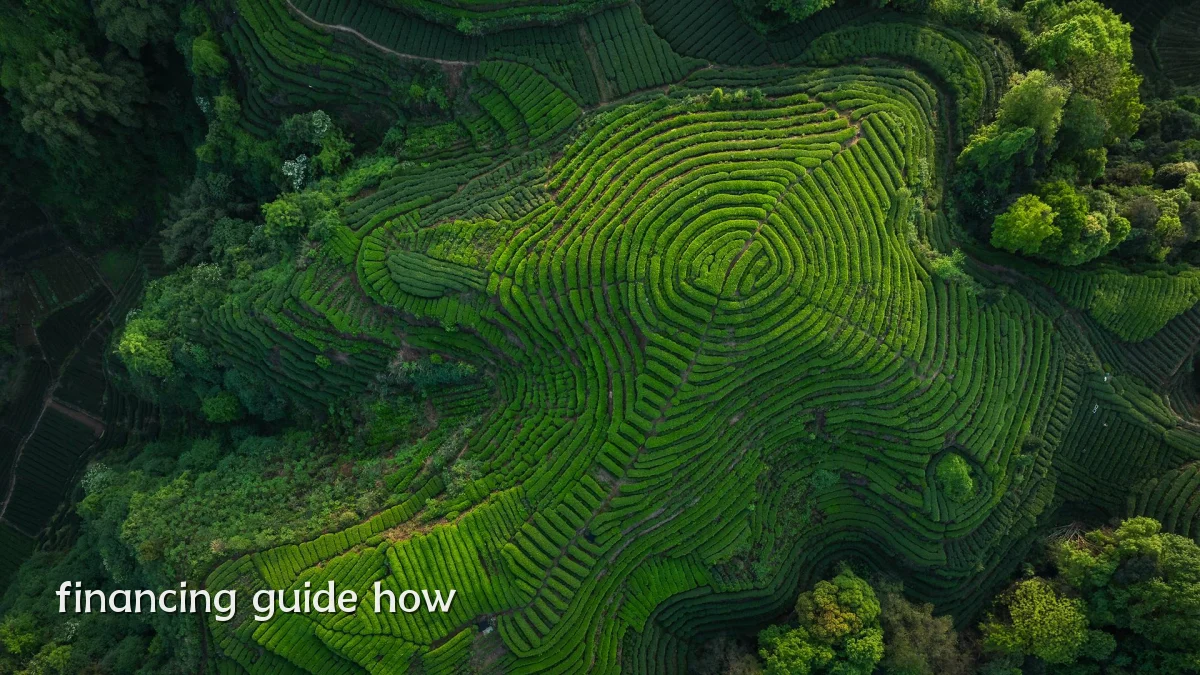 financing guide how