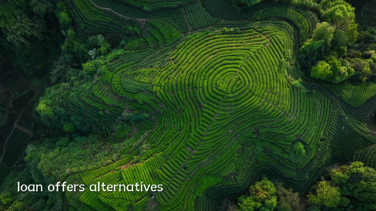 loan offers alternatives