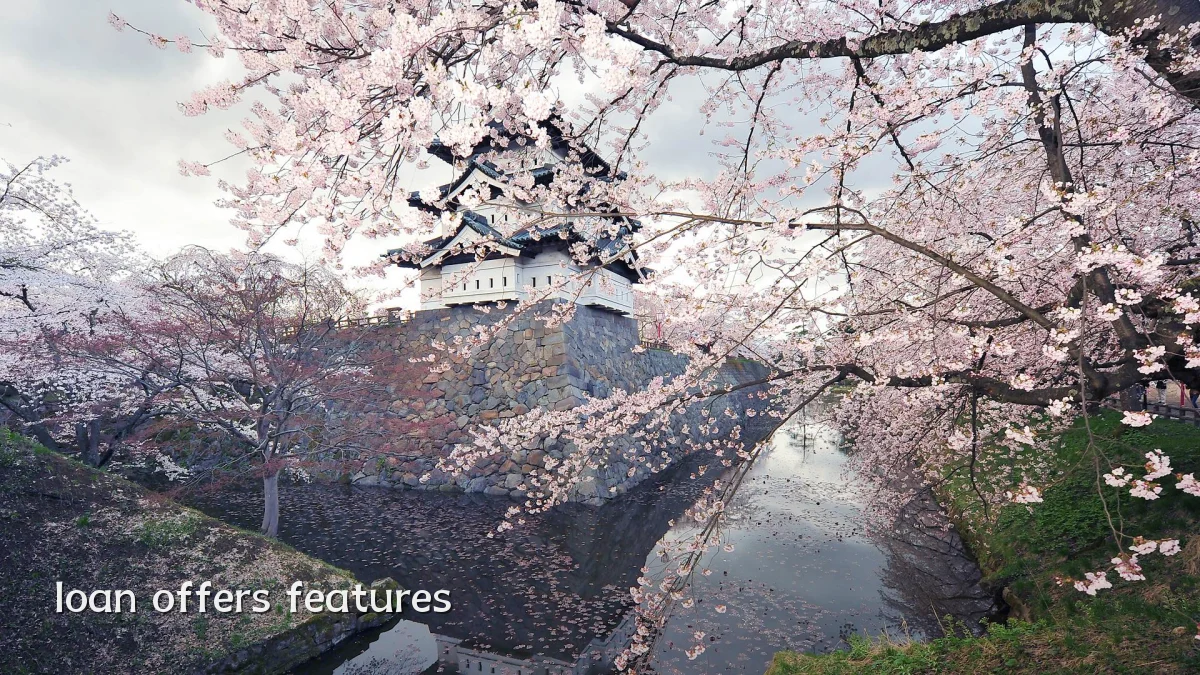 loan offers features