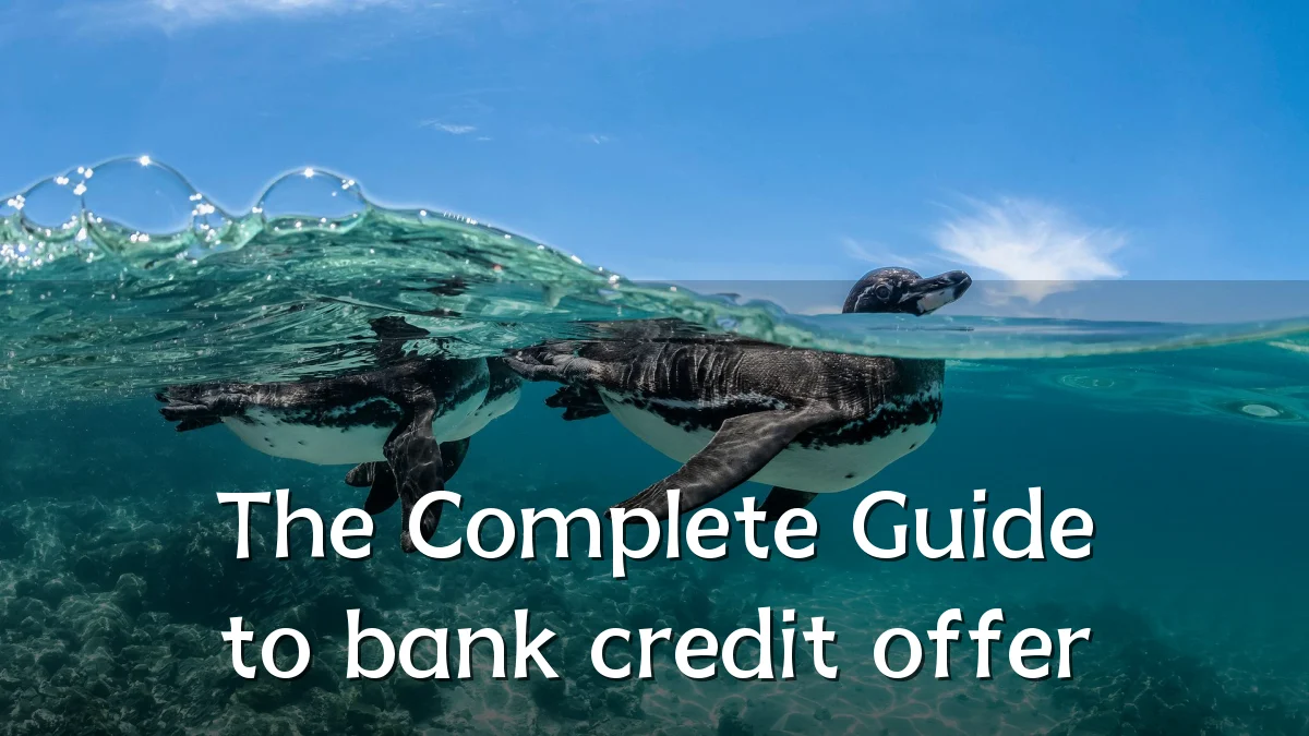 The Complete Guide to bank credit offer