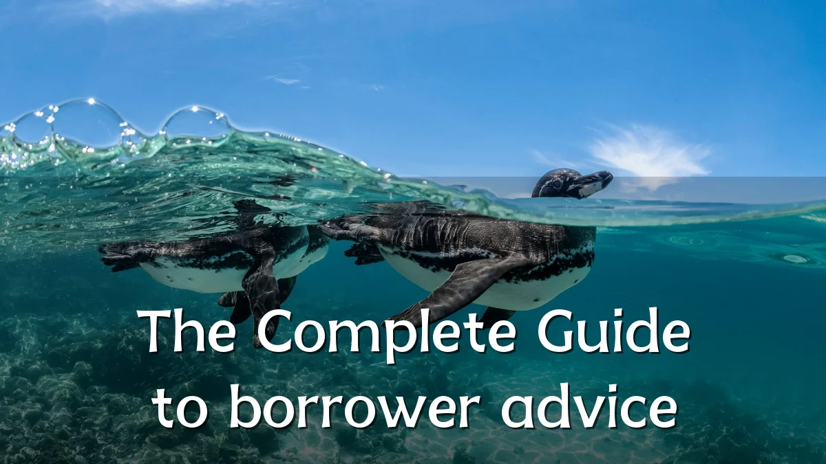 The Complete Guide to borrower advice
