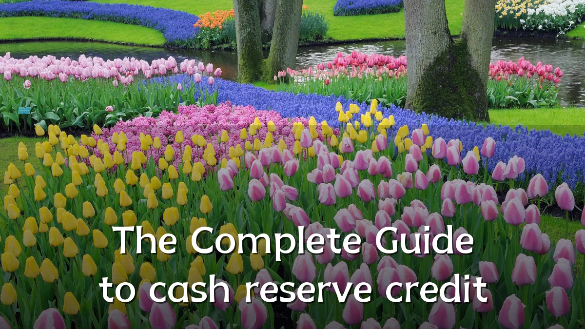 The Complete Guide to cash reserve credit
