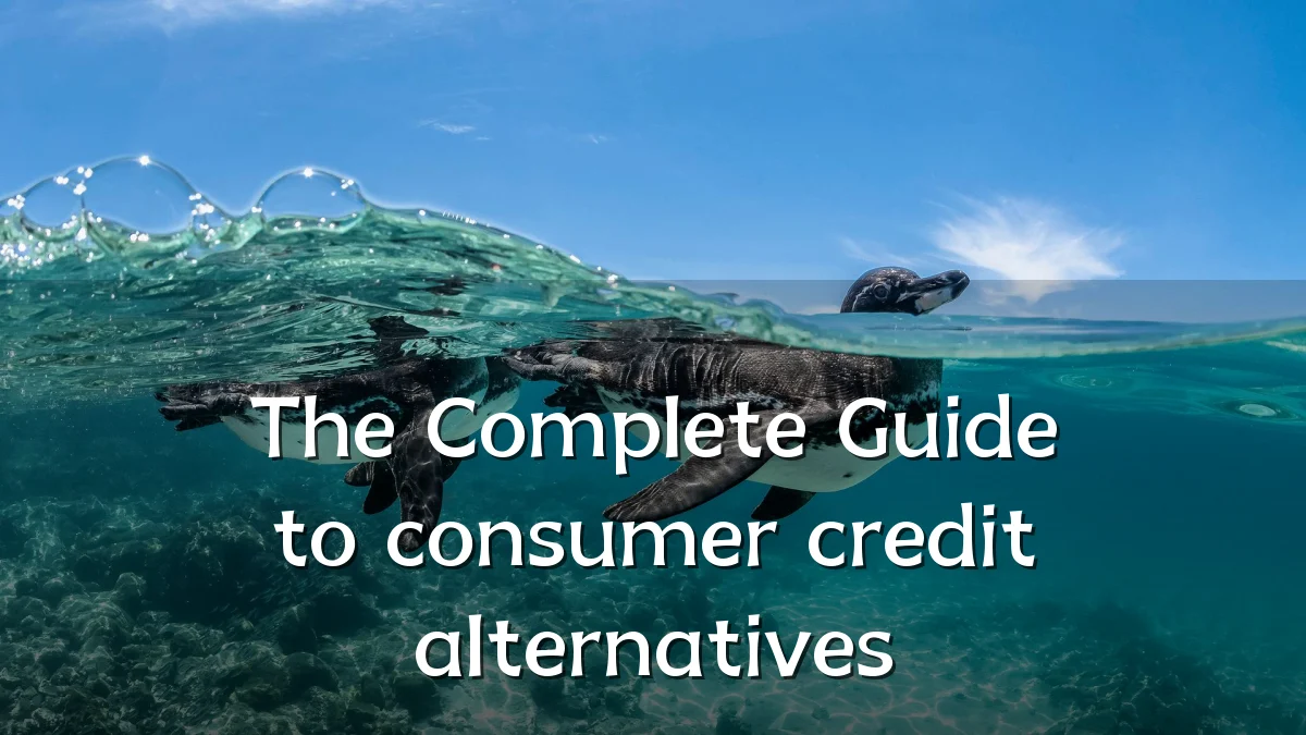 The Complete Guide to consumer credit alternatives
