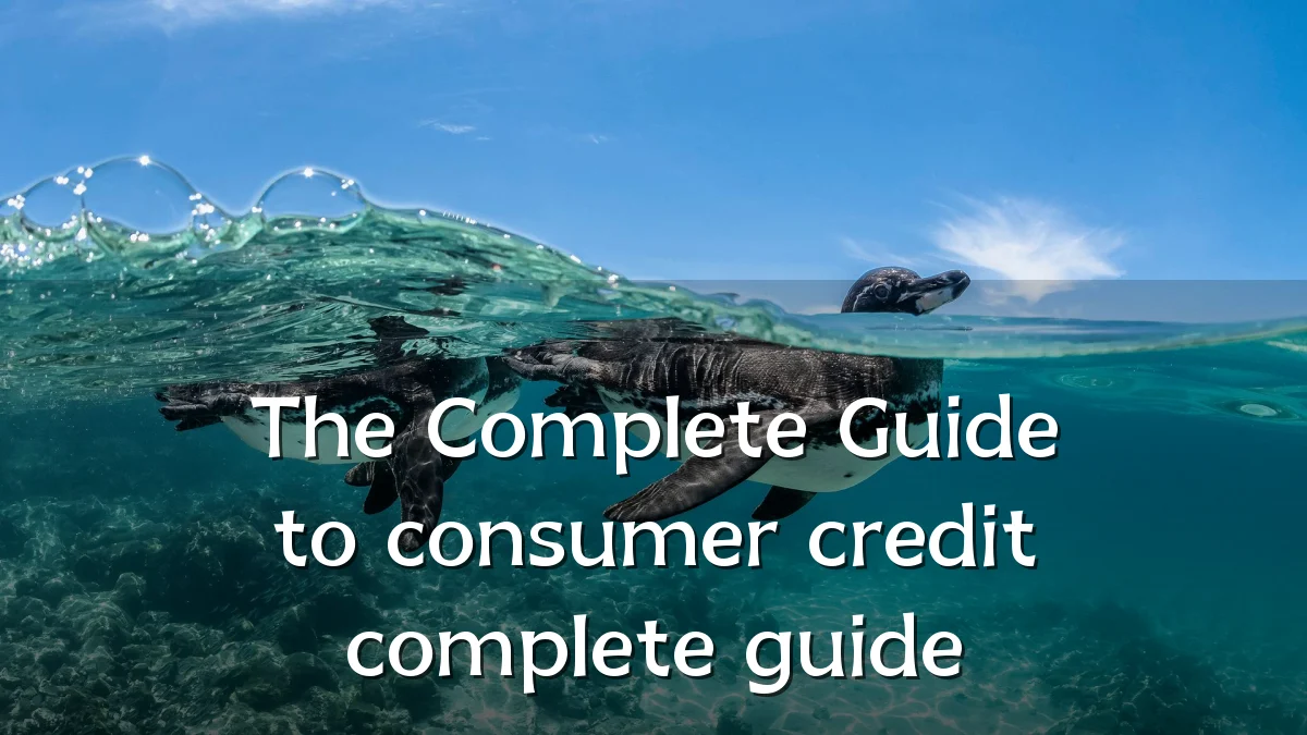 The Complete Guide to consumer credit complete guide