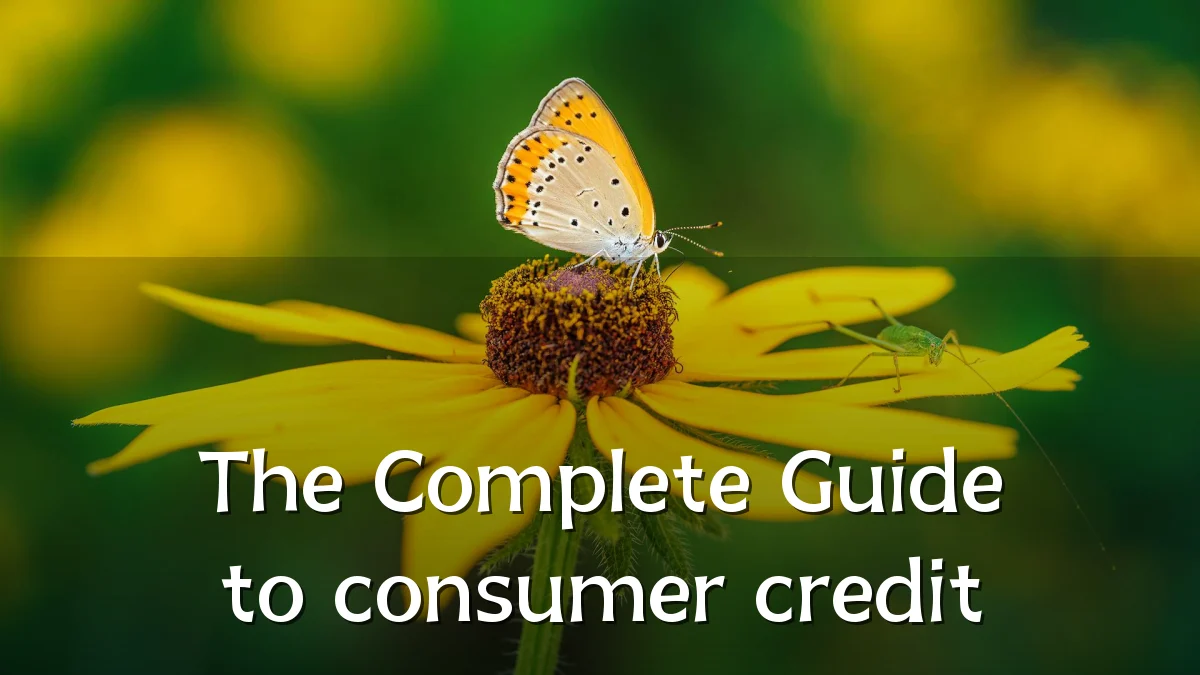 The Complete Guide to consumer credit
