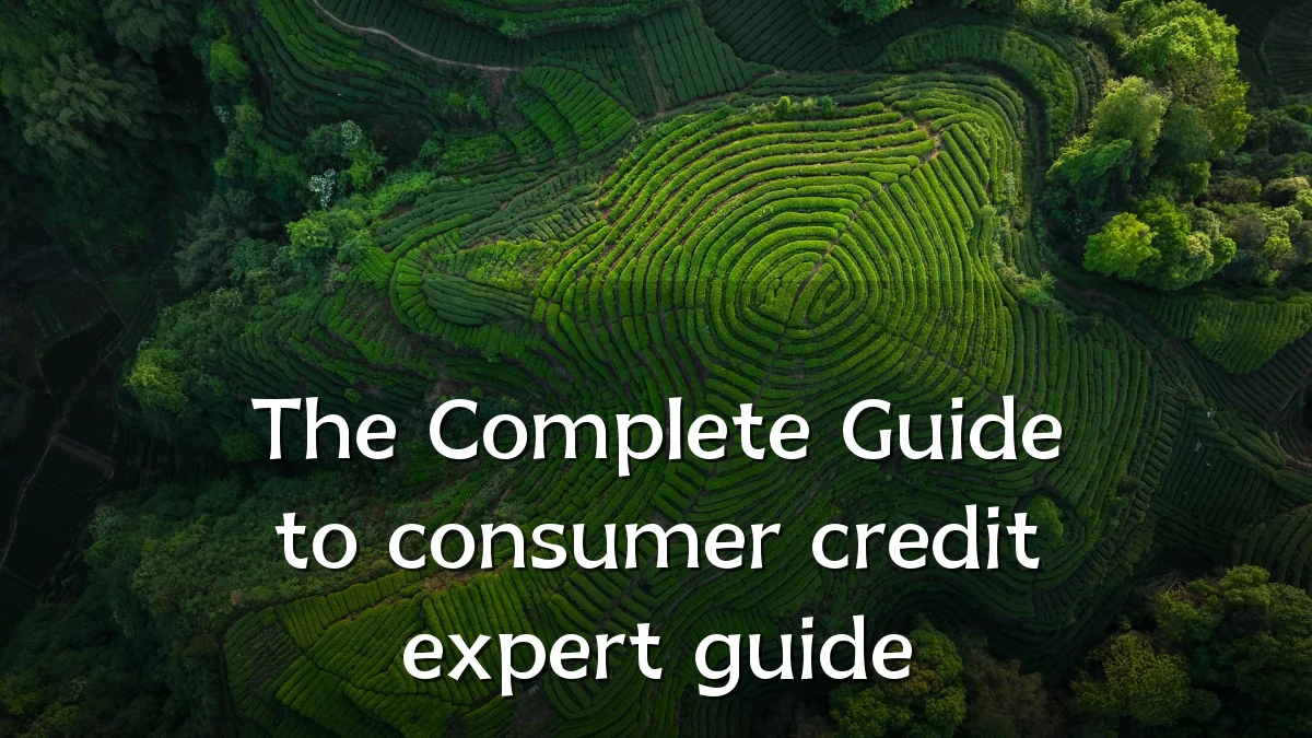 The Complete Guide to consumer credit expert guide