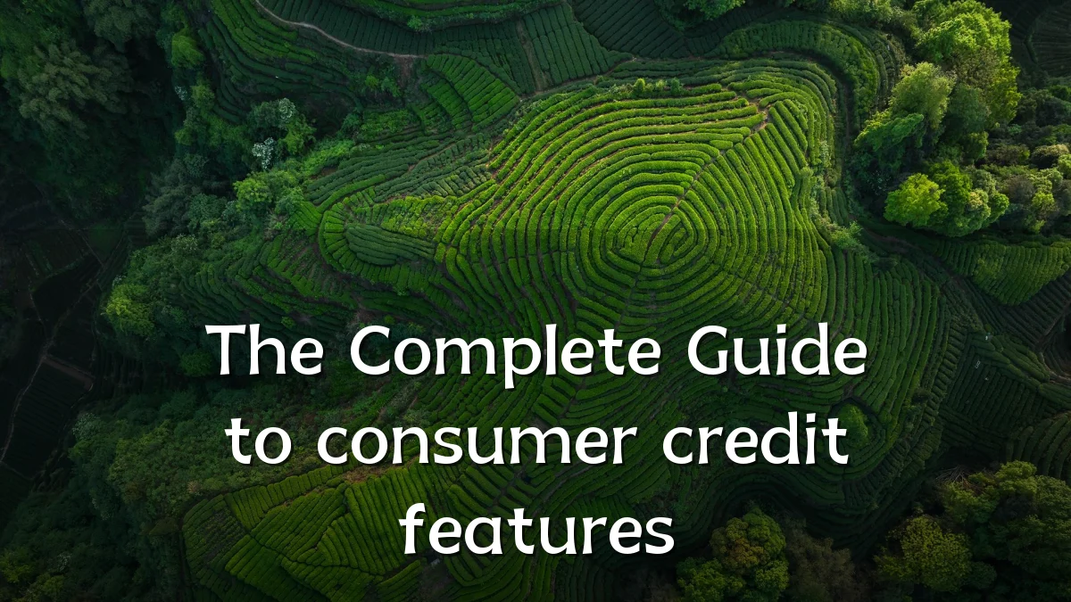 The Complete Guide to consumer credit features