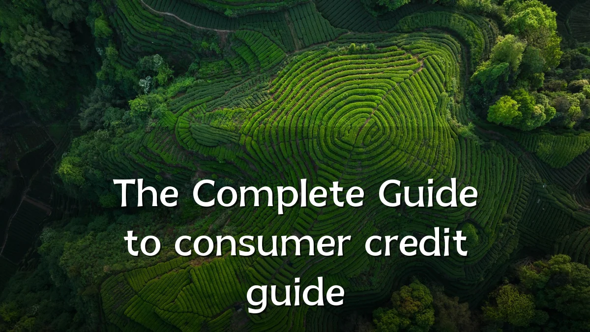 The Complete Guide to consumer credit guide