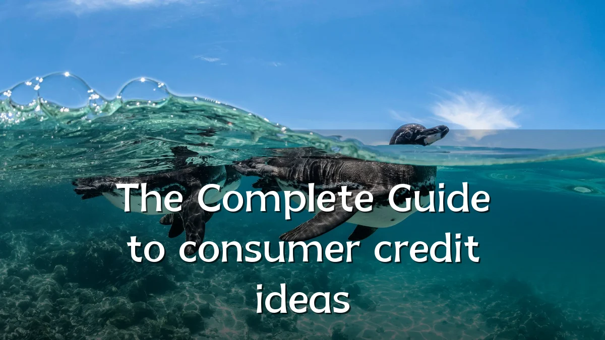 The Complete Guide to consumer credit ideas
