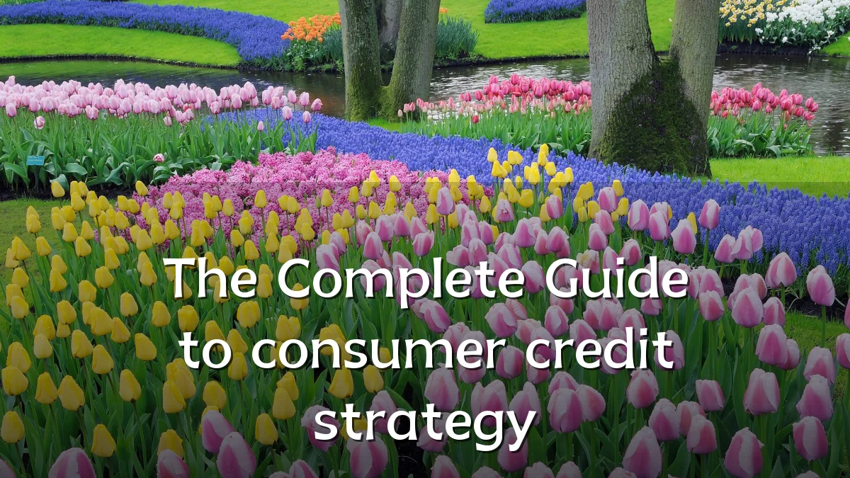 The Complete Guide to consumer credit strategy