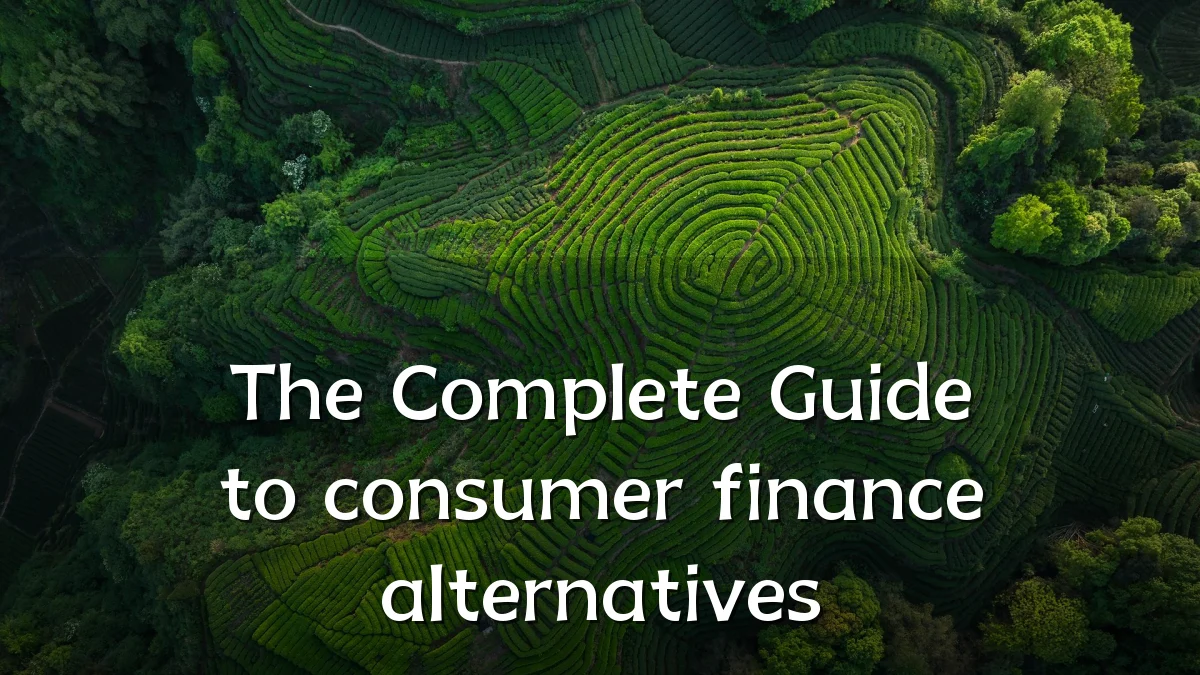 The Complete Guide to consumer finance alternatives