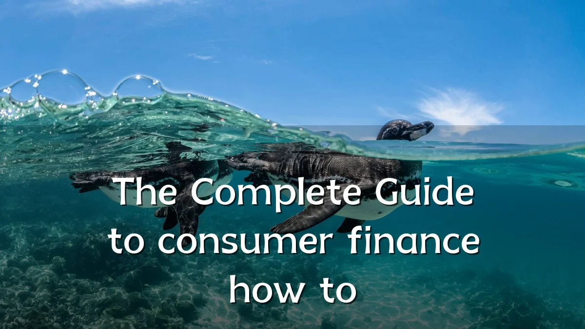 The Complete Guide to consumer finance how to