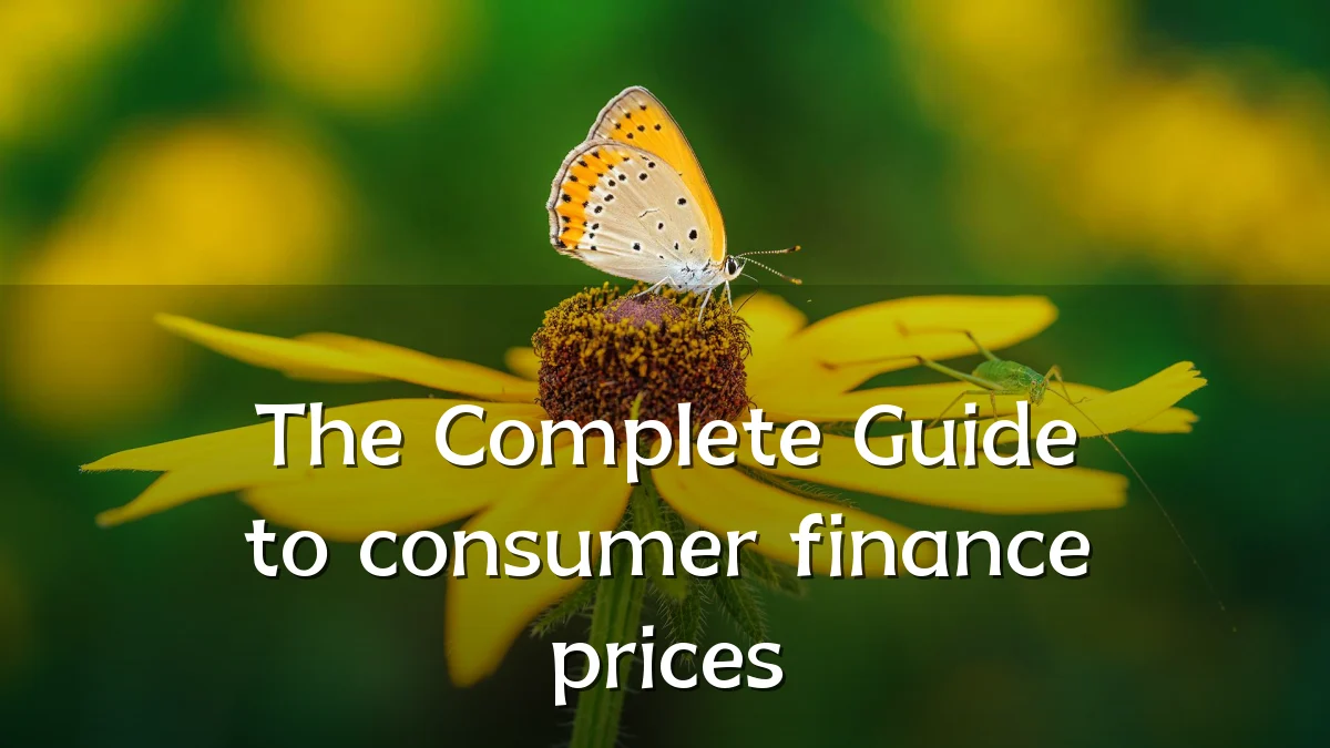 The Complete Guide to consumer finance prices