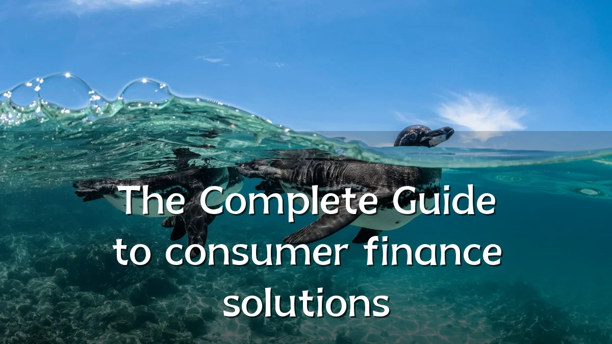 The Complete Guide to consumer finance solutions