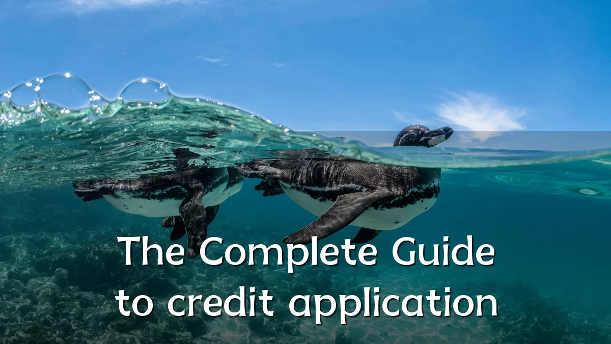 The Complete Guide to credit application