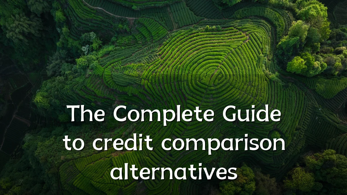The Complete Guide to credit comparison alternatives