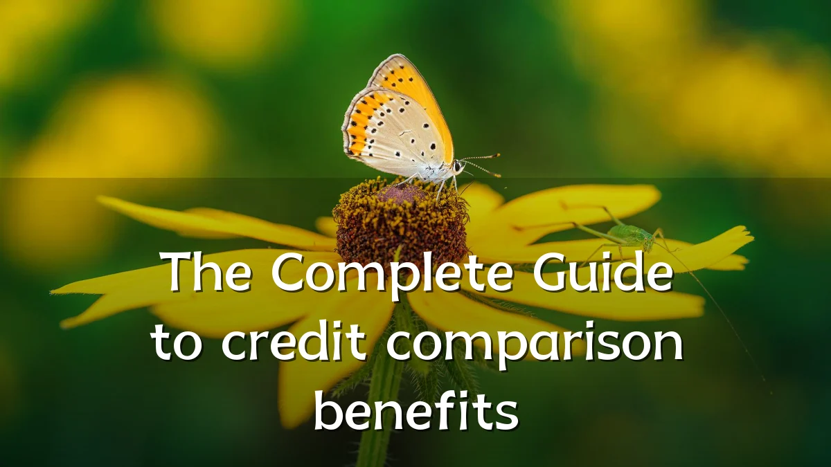 The Complete Guide to credit comparison benefits