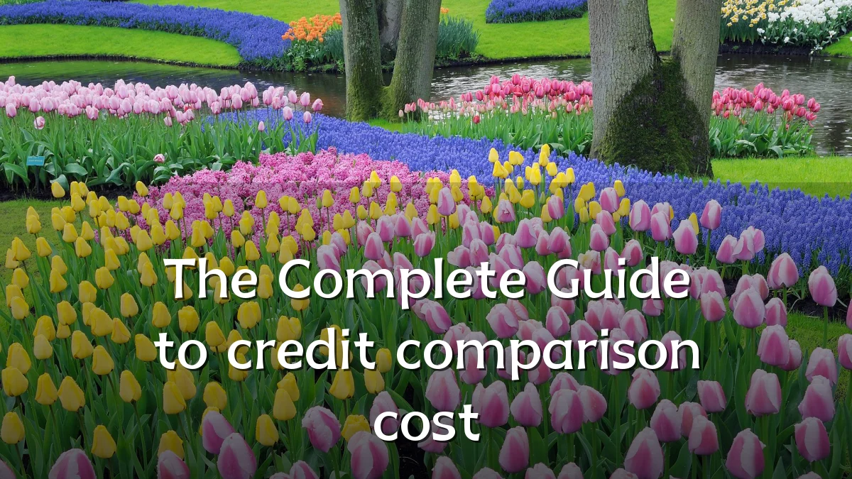 The Complete Guide to credit comparison cost