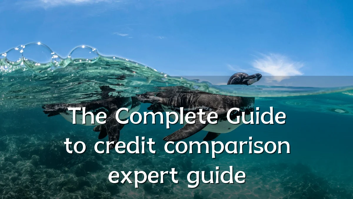 The Complete Guide to credit comparison expert guide