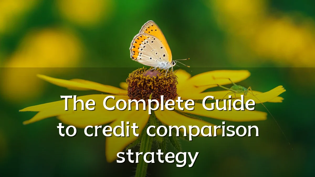 The Complete Guide to credit comparison strategy