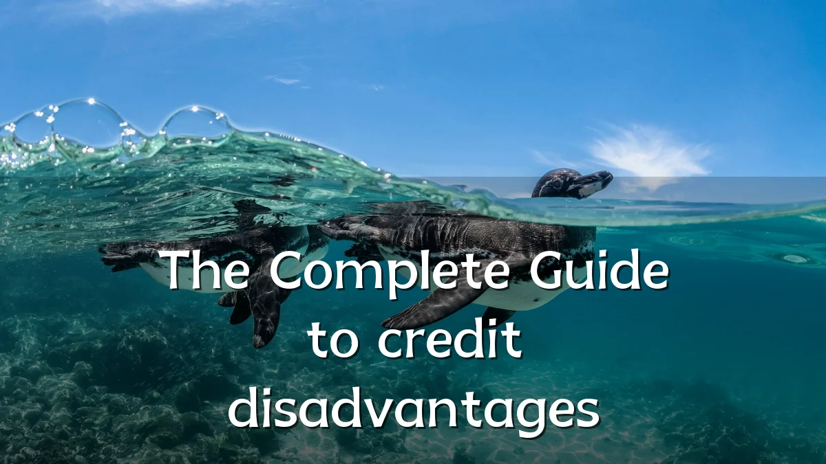 The Complete Guide to credit disadvantages