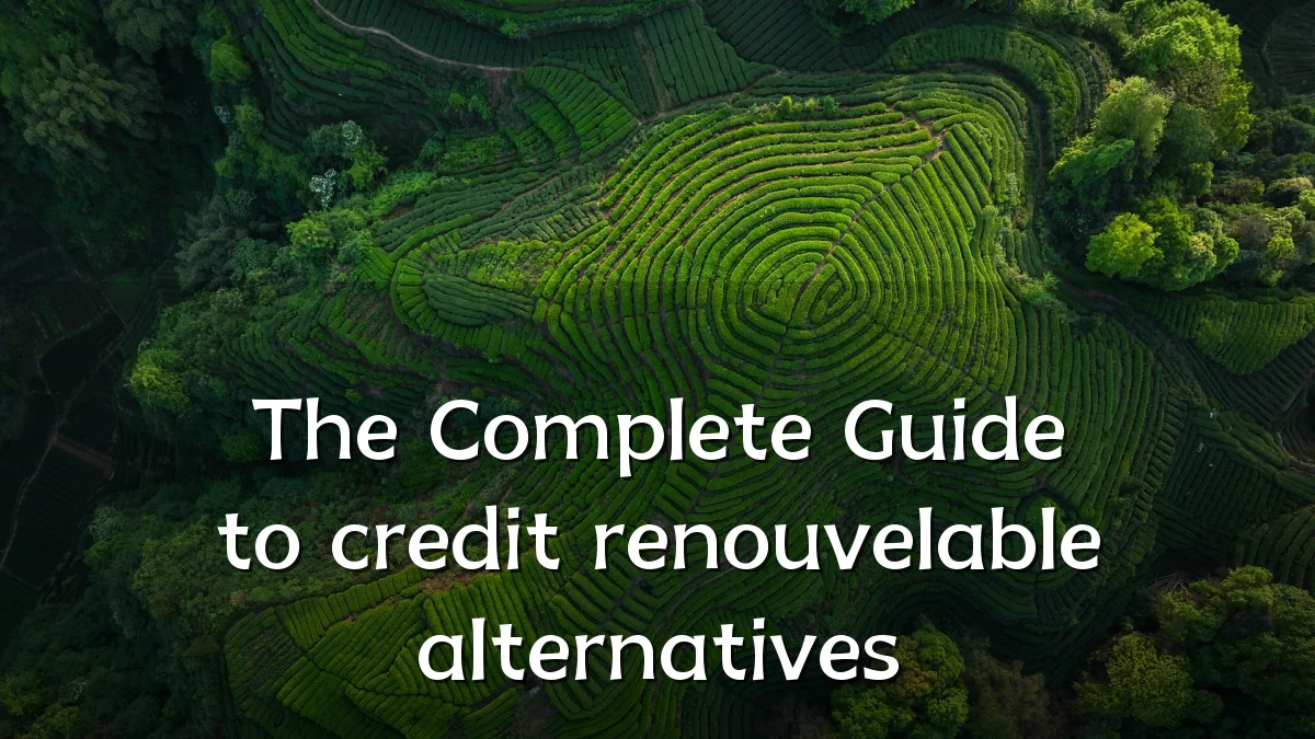 The Complete Guide to credit renouvelable alternatives