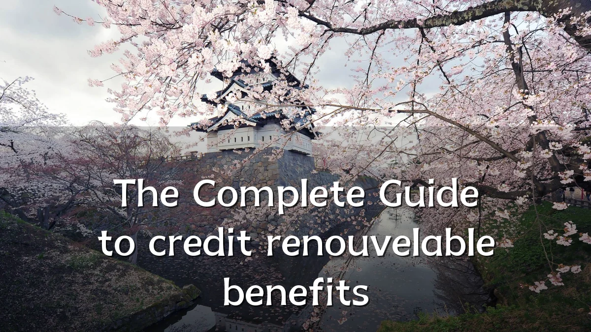 The Complete Guide to credit renouvelable benefits