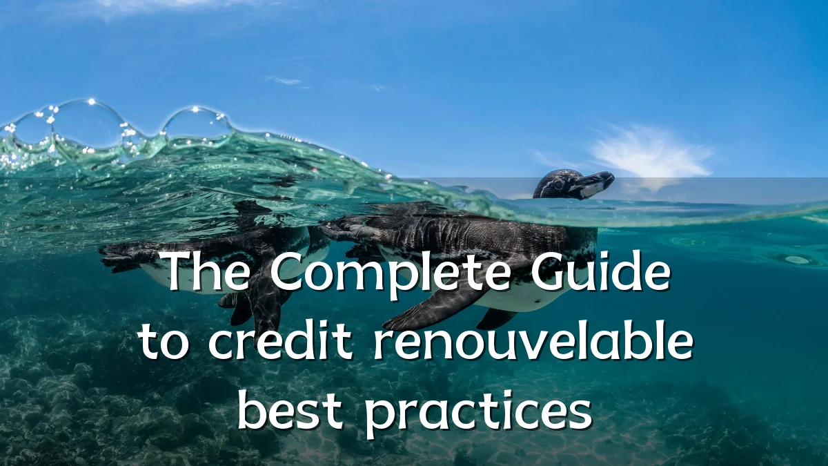 The Complete Guide to credit renouvelable best practices