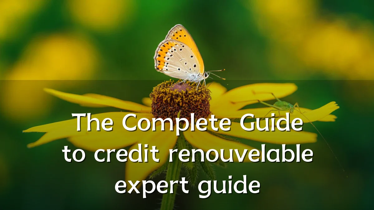 The Complete Guide to credit renouvelable expert guide