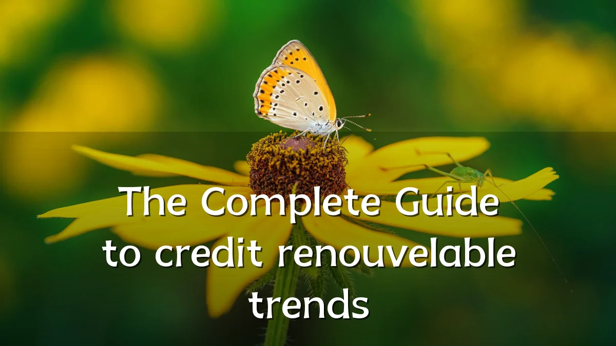 The Complete Guide to credit renouvelable trends
