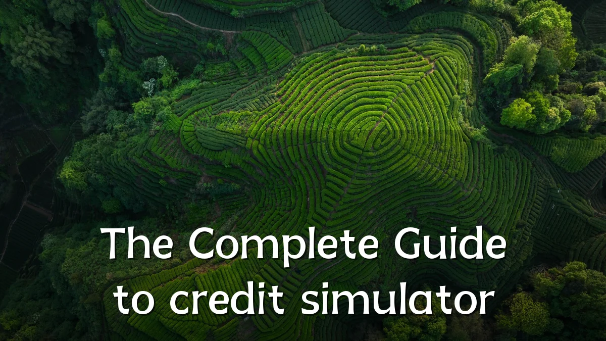 The Complete Guide to credit simulator