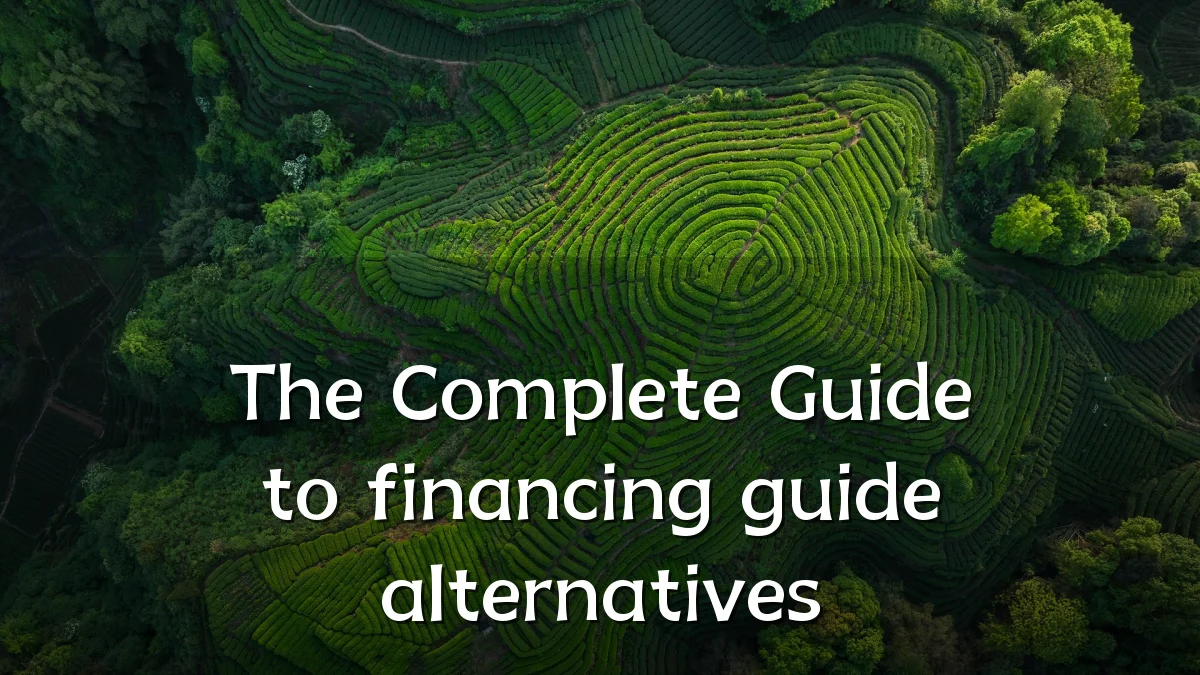 The Complete Guide to financing guide alternatives