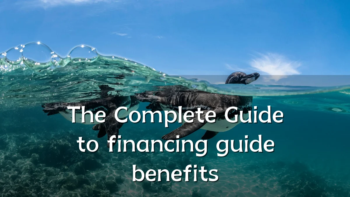 The Complete Guide to financing guide benefits