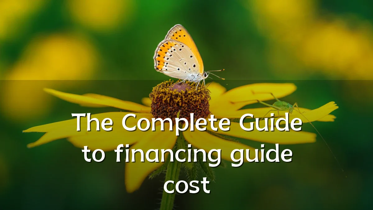The Complete Guide to financing guide cost