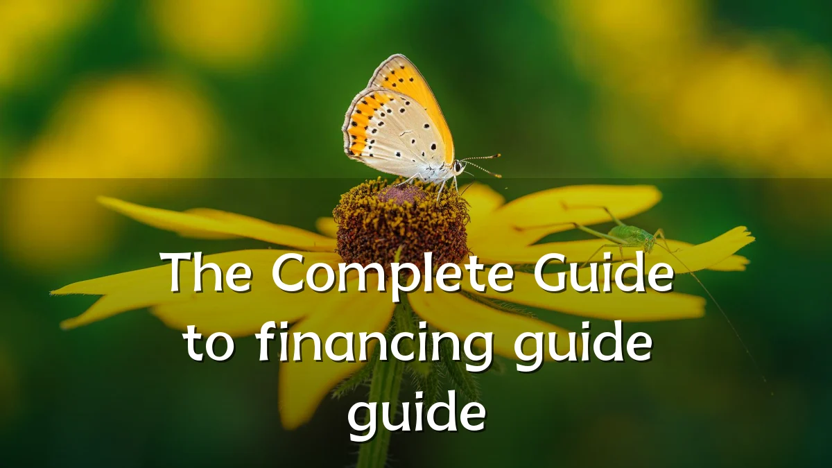 The Complete Guide to financing guide guide