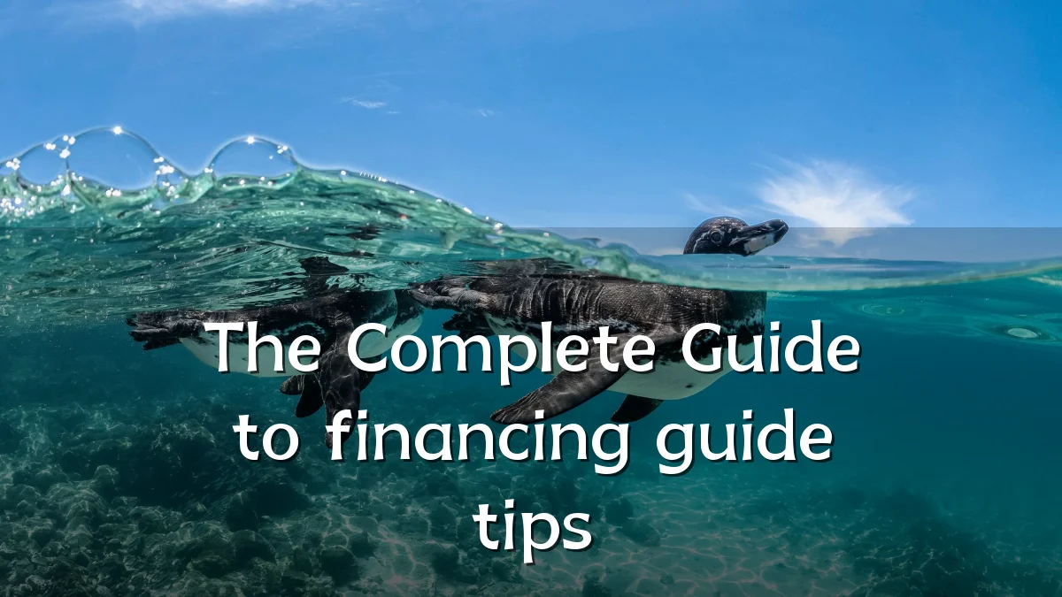 The Complete Guide to financing guide tips