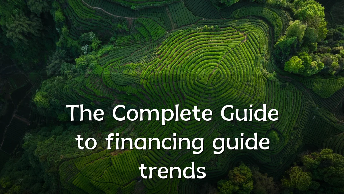 The Complete Guide to financing guide trends