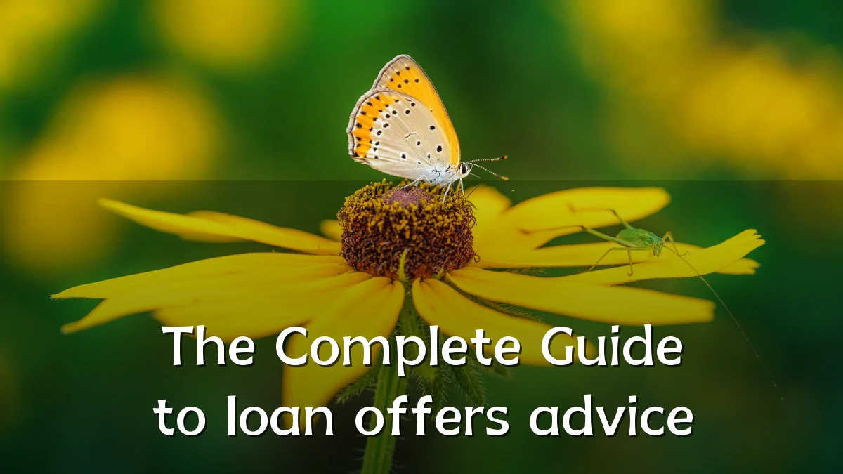 The Complete Guide to loan offers advice