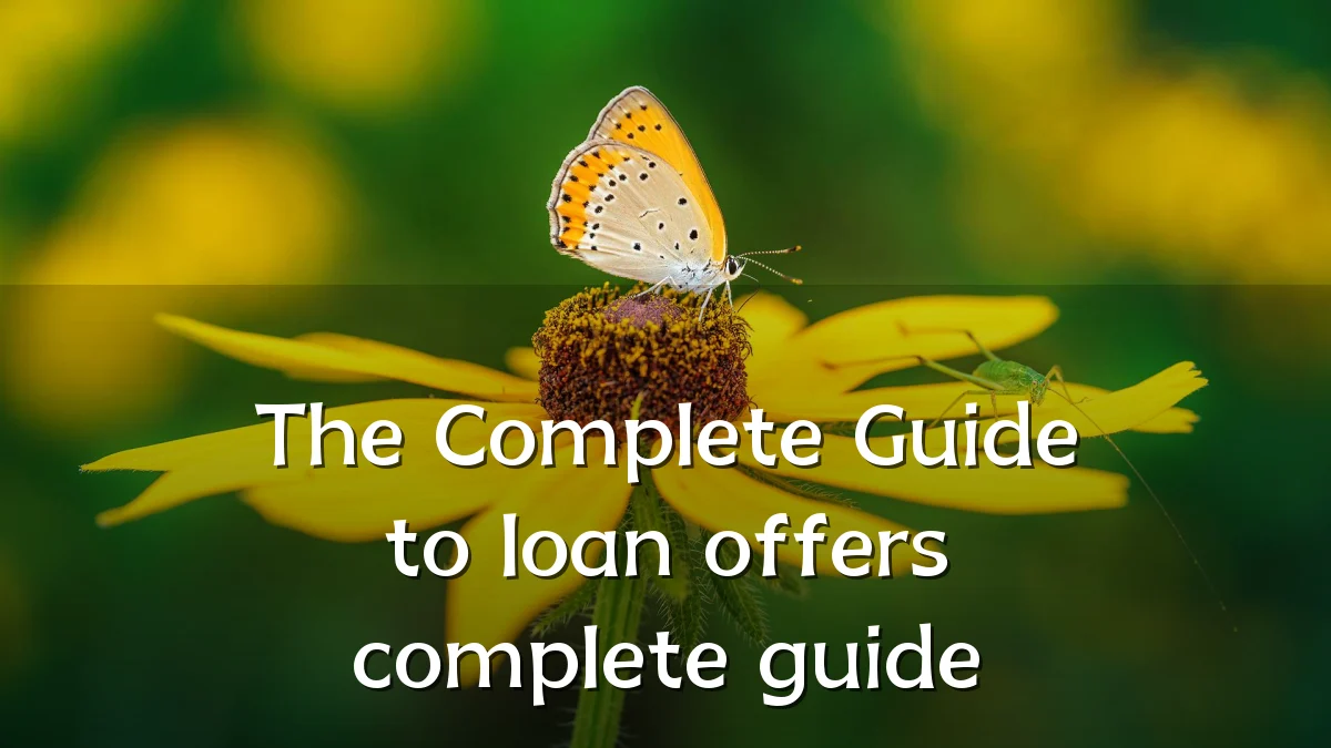 The Complete Guide to loan offers complete guide